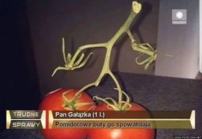 JajkaNieMajaBialek - #codziennypangalazka