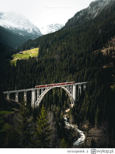 mrsopelek - Langwieser viadukt w #szwajcaria i czerwony pociąg Kolei Retyckich.

Tag ...