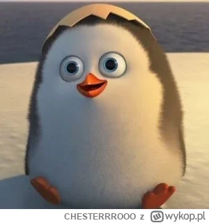 CHESTERRROOO - https://www.twitch.tv/vchesterv
#wot #worldoftanks #czołgista