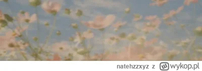 natehzzxyz - @papugatotwardziel