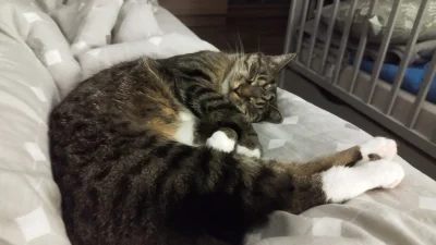 DrBarrel - No to lecimy w spanko...



#pokazkota #koty