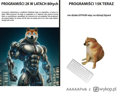 AAAAAPsik - #programowanie
#programista15k
#humorobrazkowy