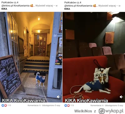 WielkiNos - @mrsopelek to teraz z psieckiem może do kina?