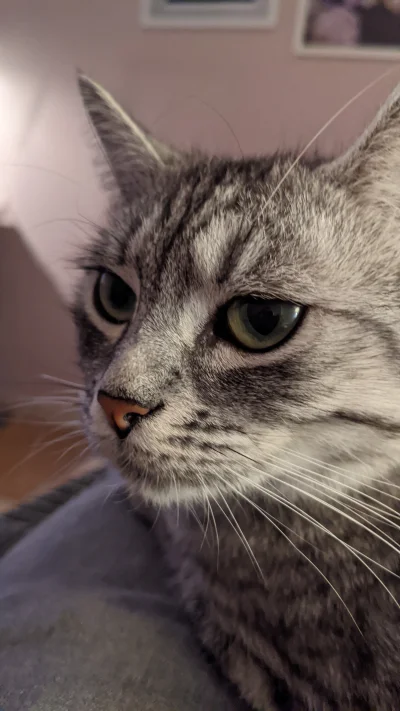 b0dyload - @b0dyload: