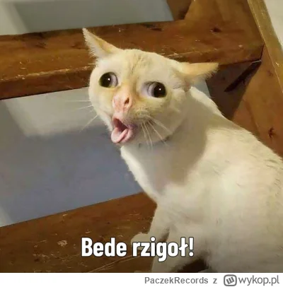 PaczekRecords - @PolskaWrona