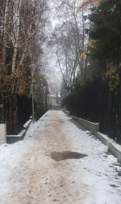 LePetit2197 - #przegryw  #spierdotrip typu zima