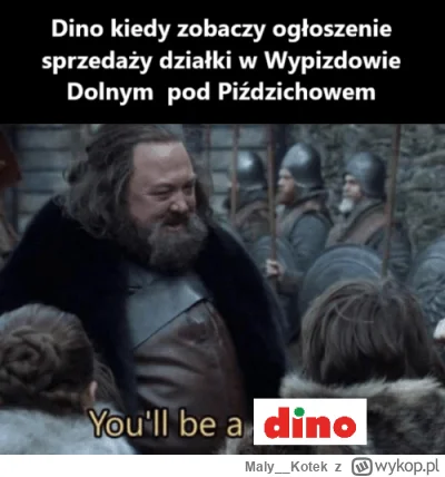 Maly__Kotek - pewnie było coś takiego ale zrobiłem podobne 
#memy