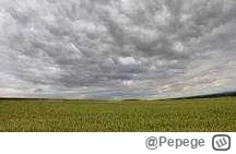 Pepege - Noc spadajacych gwiazd istnieje. #perseidy Tymczasem niebo: