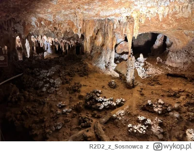 R2D2zSosnowca - @R2D2zSosnowca ʕ•ᴥ•ʔ