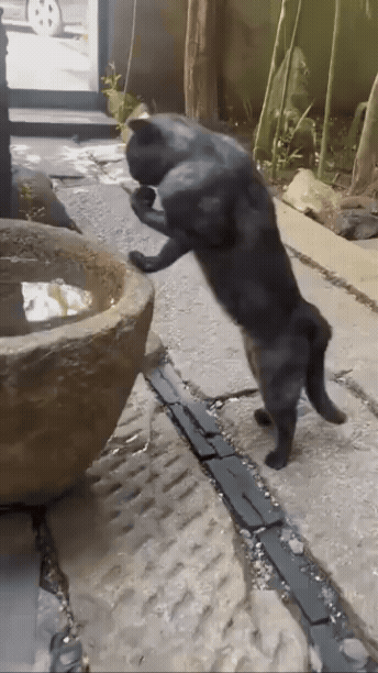 jestemtakizmeczony - @jestemtakizmeczony: