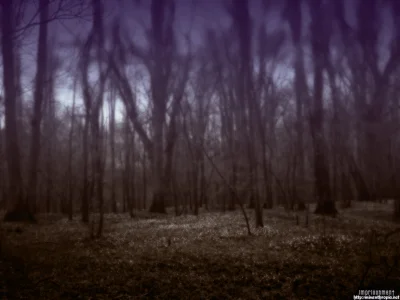 kingcel - #przegryw to nie jest tag dla szczesliwych ludzi