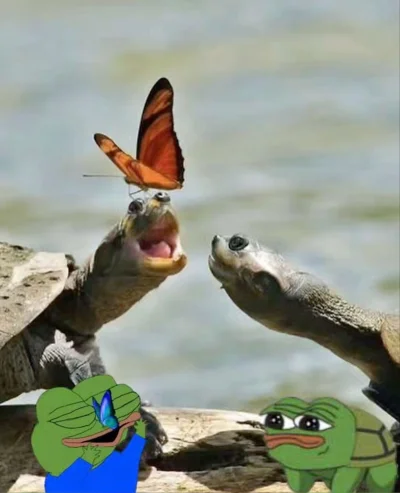 white_noiz - Tutel
#frenpill #apustaja