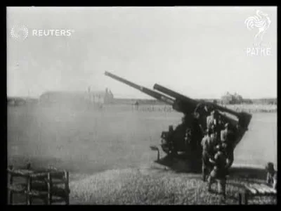 RFpNeFeFiFcL - @xaliemorph: