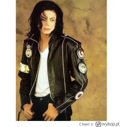 Chael - @Sandevistan xD