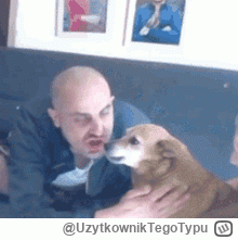 UzytkownikTegoTypu - @ZiomPolski: