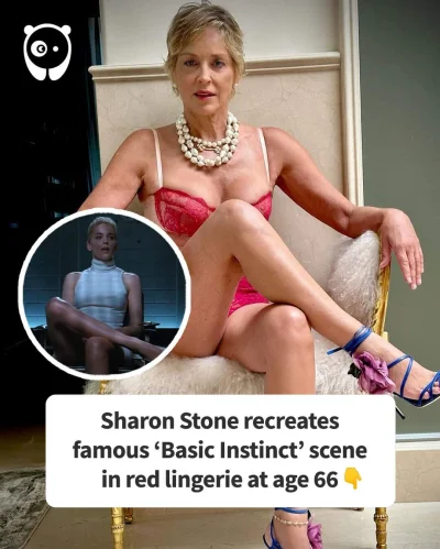 ntdc - Wanna babcie #!$%@??