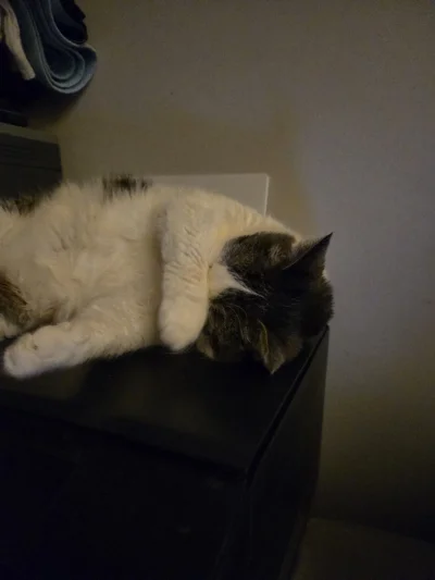 Solsith - @Lujdziarski: wykop w formie na telefon duże L nie wchodzi¯\(ツ)/¯