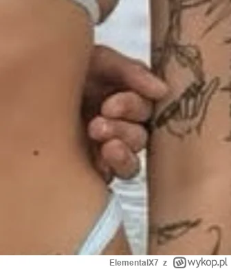 ElementalX7 - Beciak Błoński ( ͡° ͜ʖ ͡°)