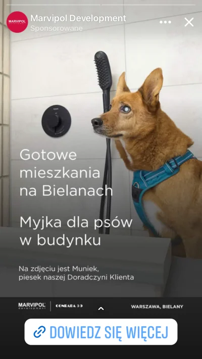 ada_lovelace - #psiarze