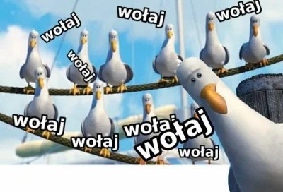 balatka - @wypok_wypok: