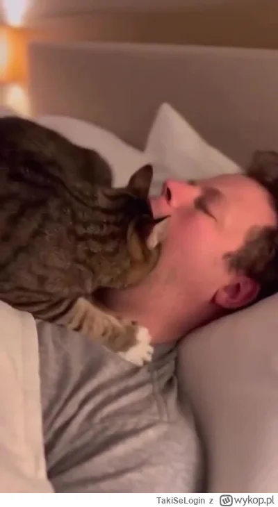 TakiSeLogin - #koty #kitku #zwierzaczki #ai #sztucznainteligencja
Czy wasze koty tak ...