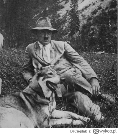 D.....k - Człowieka poznaje się po tym jak traktuje zwierzęta. Wiadomo, jak nie lubis...