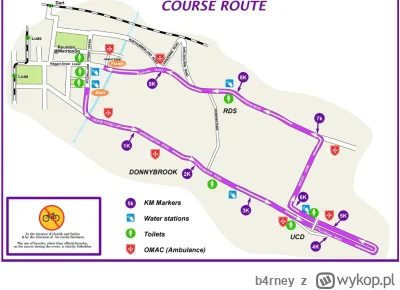 b4rney - #wybory #dublin czy ich całkiem p------o w tej ambasadzie żeby komisja wybor...