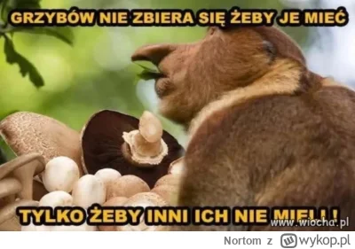 Nortom - @MangoMangoMango: akurat chwilę temu mi się to wyświetliło na fb ( ͡° ͜ʖ ͡°)