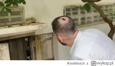 Knoblauch - @Lucky_Charm