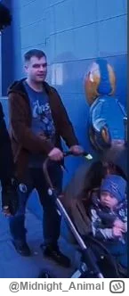 Midnight_Animal - Takie tam ze spacierniaka #kononowicz #patostreamy