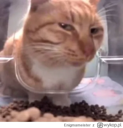 Enigmameister - @wybryk_natury: