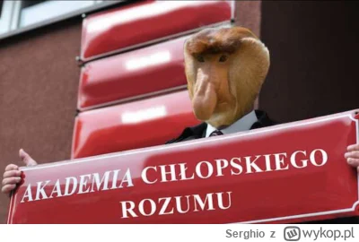 Serghio - @PrankmeisterXD: ale taguj #akademiachlopskiegorozumu