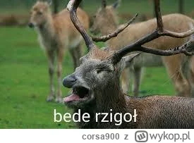 corsa900 - @jacekparowka