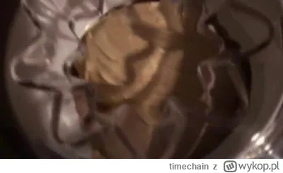 timechain - @zrobmysobierewolucje: