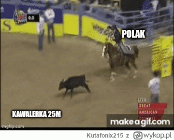 Kutafonix215 - #nieruchomosci