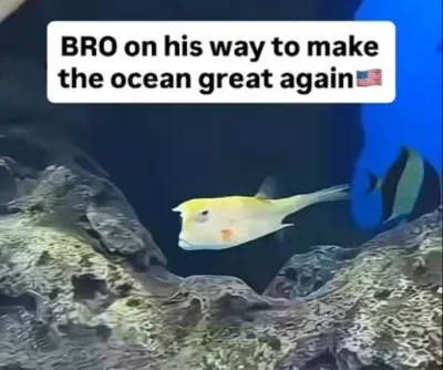 mam_spanko - #heheszki #humorobrazkowy #przegryw