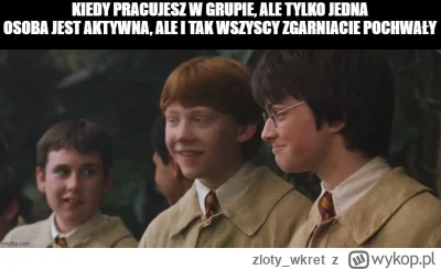 zloty_wkret - #harrypotter