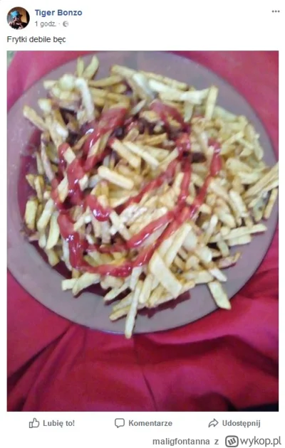 maligfontanna - Elo benc 
#bonzo