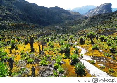 o__p - Raj utracony kraina snów. Gdzie ske podziały te szczęsliwe chwile.
