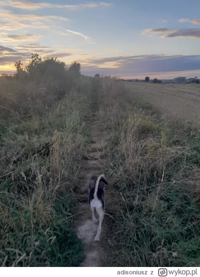 adisoniusz - @adisoniusz