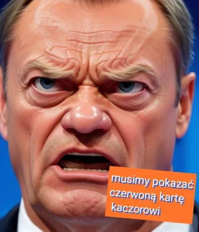 CzerwonyjakWIG20 - #kaczor #tusk #polityka