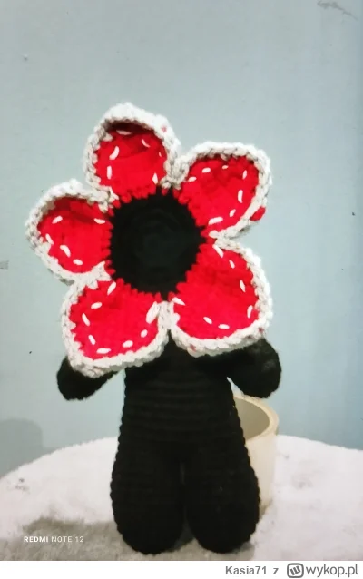 Kasia71 - Co sądzicie o takim gościu?  :)  #kasiaszydelkuje  #szydelkowanie  #handmad...