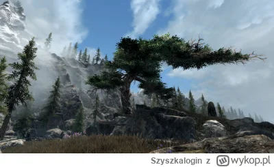 Szyszkalogin - #skyrszin powyginane drzewo
