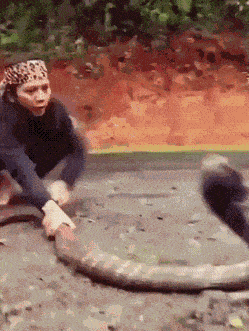 wfyokyga - Zaklinacz wonszu