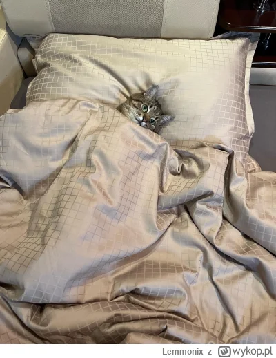 Lemmonix - W sumie może wiem ( ͡° ͜ʖ ͡°)