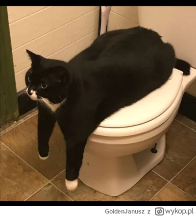 GoldenJanusz - #przegryw