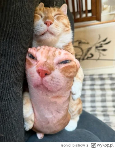 leonid_bialkow - @wfyokyga: cze