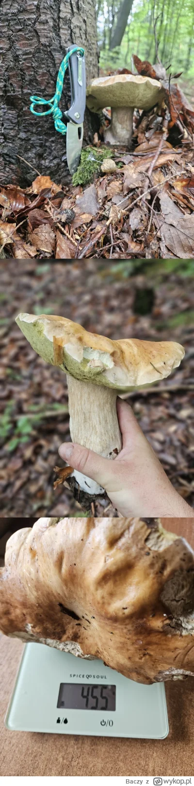 Baczy - Takiego s------a dzisiaj znalazłem (⌐ ͡■ ͜ʖ ͡■)

#grzyby #chwalesie