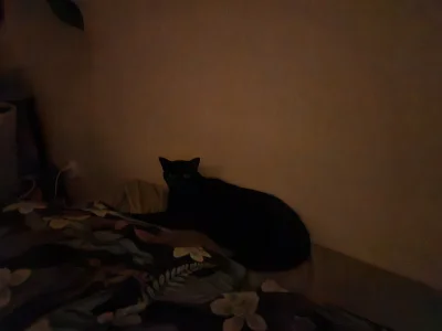 RicoElectrico - @Arvin: