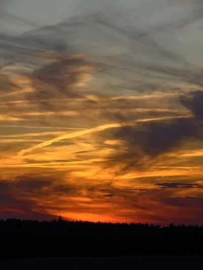 KrzysztofWu - @KrzysztofWu: